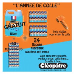 Schoolpack : 24 flacons pinceaux 80ml + bidon de 5kg