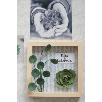 Tutoriel plante papier