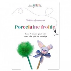 Book (in french) les basiques de la porcelaine froide par Natasel