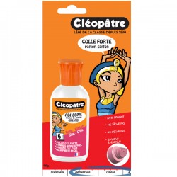 Blister Colle transparente en 55gr