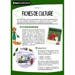 Fiches de culture - Cycle 2