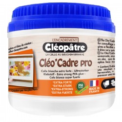 CLEO'CADRE PRO