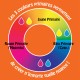 Princess Merit Acrylic Paint Pearl Primary Blue (Cyan) 500ml