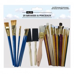 Lot de 25 pinceaux et brosses Artiste
