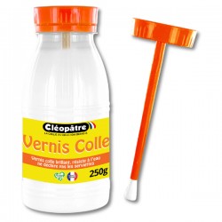 Vernis Colle Brillant en flacon de 250g avec pinceau intégré