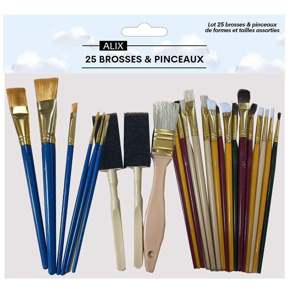 Lot de 25 pinceaux et brosses Artiste