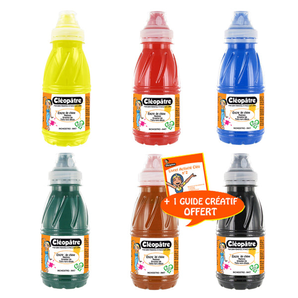 Lot de 6 flacons en 250 ml Encre de Chine, Jaune Primaire, Rouge Vif, Bleu Primaire, Vert Sapin, Noir, Terre de Sienne