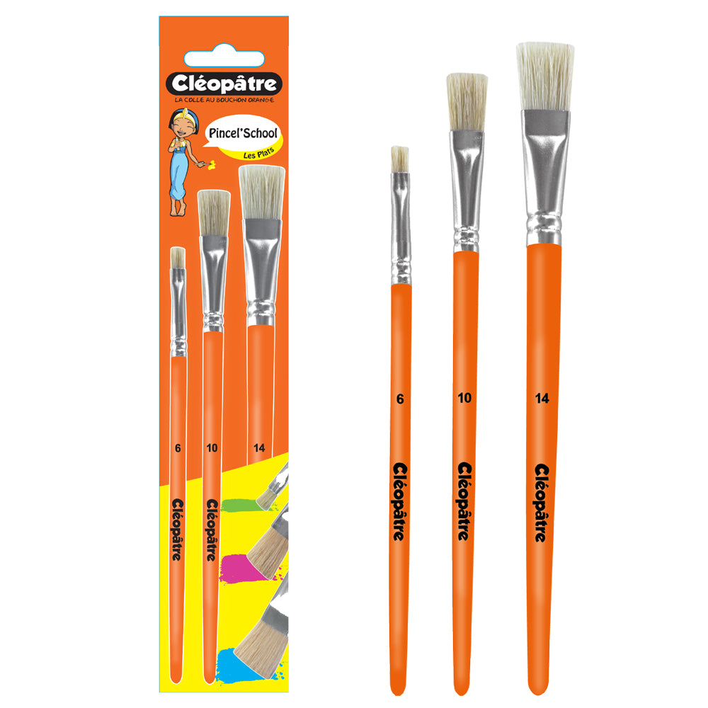 Pincel'School - pinceaux plats soie de porc