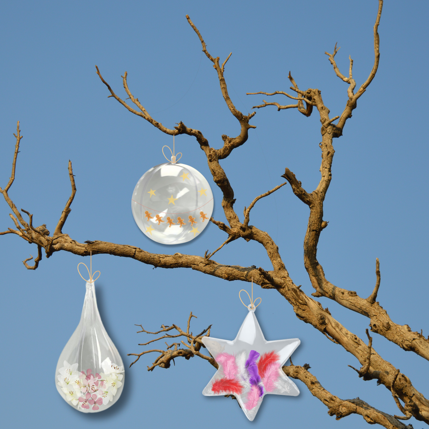 Lot de 6 boules en plastique transparent