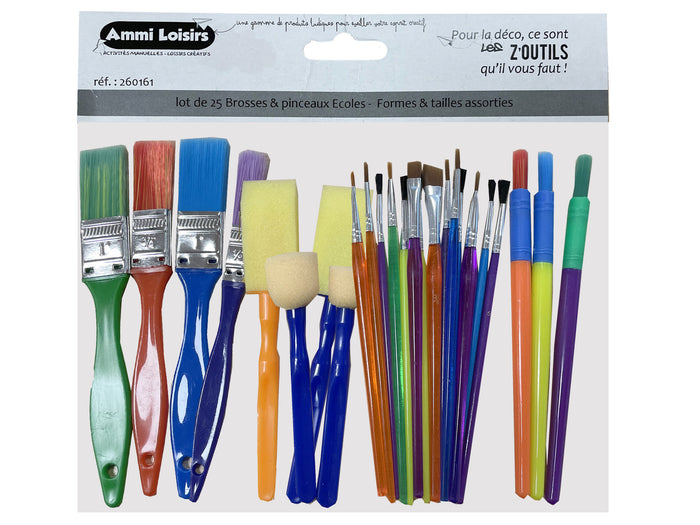 Lot de 25 pinceaux et brosses Ecole