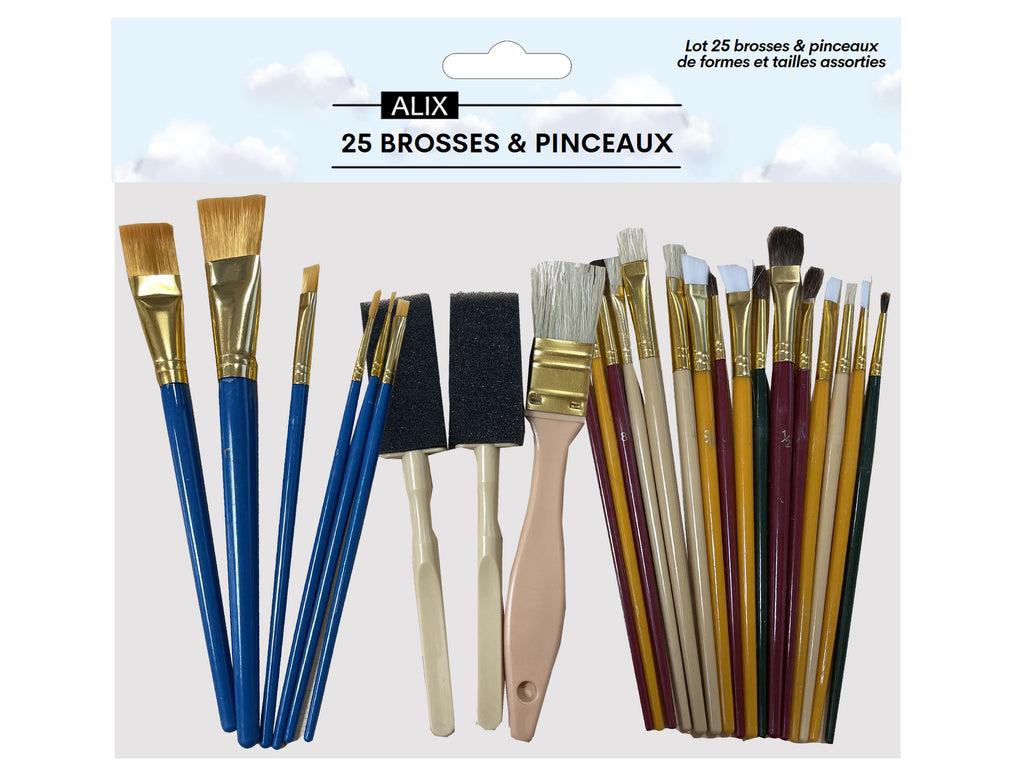 Lot de 25 pinceaux et brosses Artiste