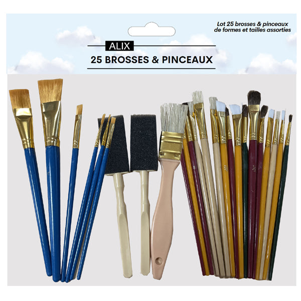 Lot de 25 pinceaux et brosses Artiste