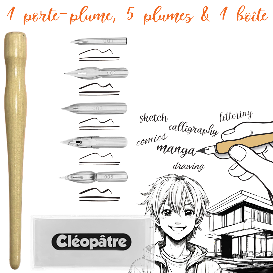 1 porte-plume + 5 plumes + 1 boîte de rangement