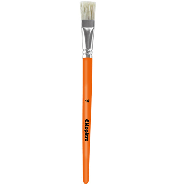 Brosse plate soie de porc Cléopâtre