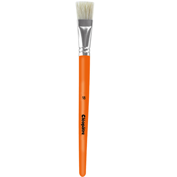 Brosse plate soie de porc Cléopâtre