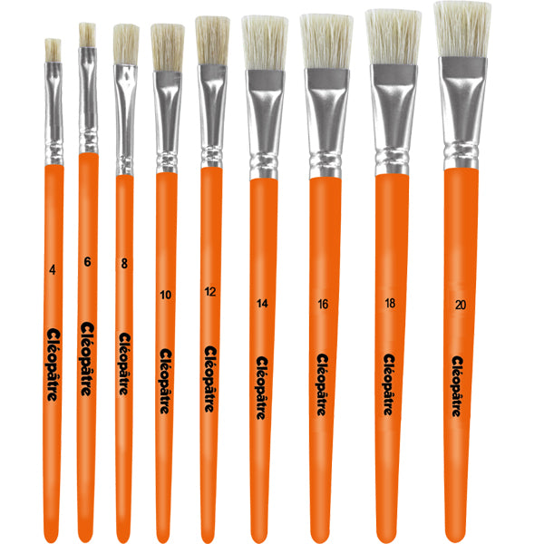 Brosse plate soie de porc Cléopâtre