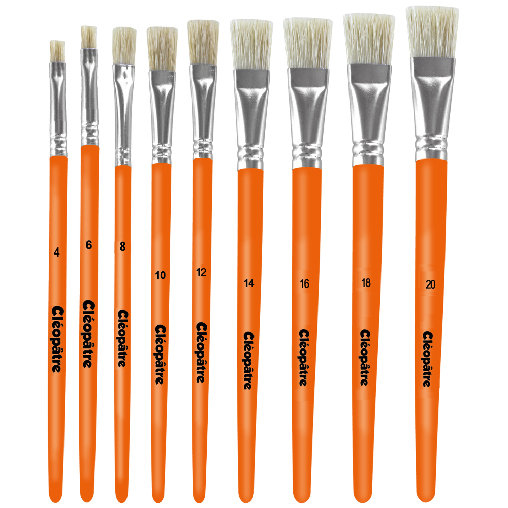 Brosse plate soie de porc Cléopâtre