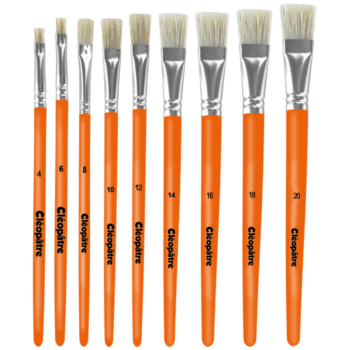 Brosse plate soie de porc Cléopâtre