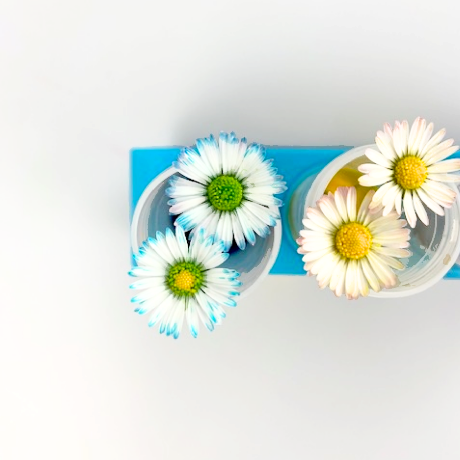 KIT DU P'TIT CHIMISTE CRÉATIF : 10 activités créatives amusantes et surprenantes avec de l'encre à dessiner !