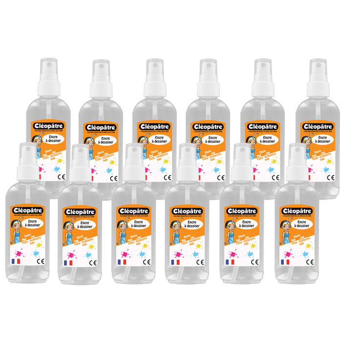 Lot de 12 vaporisateurs sans gaz, petit modèle 100ml rechargeable