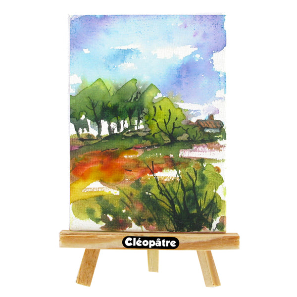 8 flacons Aquarel'Gel 250ml : Jaune Primaire, Rouge Vif, Rouge Primaire, Bleu Primaire, Violet, Vert, Terre de Sienne, Noir