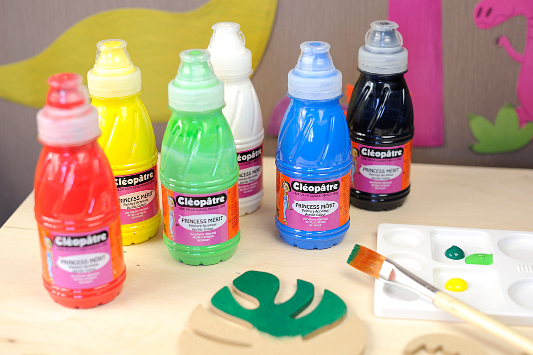 Lot 6 peintures acryliques 500 ml